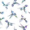 In The Beginning Fabrics Daydreams Hummingbirds Blue