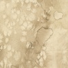 Moda Desert Oasis Flow Sandstone