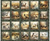 QT Fabrics Forest, Field and Stream Wildlife Pictures Patches Pine