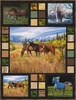 High Horse Free Quilt Pattern