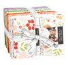 Laguna Sunrise Fat Quarter Bundle by Moda