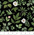 Northcott Blush Leaf Toss Black/Green