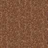 Andover Fabrics Hello Autumn Mini Blooms Brown