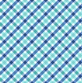 Maywood Studio Kimberbell Star Spangled Beauty Bias Gingham Blue/Aqua