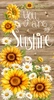 Timeless Treasures You Are My Sunshine Panel Brown