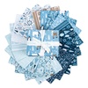 Winter Magic Fat Quarter Bundle by Riley Blake Designs