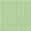 Riley Blake Designs Summer Skies and Fireflies Gingham Green