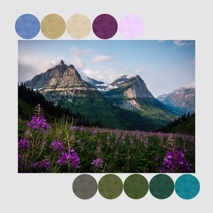 Color Inspiration Series