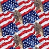 Henry Glass Wings of Freedom Flag and Eagle Multi