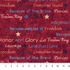 Northcott Stars and Stripes Inspirational Script Red