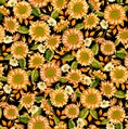 Studio E Fabrics Autumn Fields Sunflowers Black