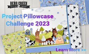Pillowcase Challenge 2023
