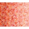 QT Fabrics Floralessence Coral