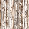 Henry Glass Woodland Whispers Birch Stripe Brown and Gray