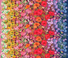 Moda Superbloom Wildflowers Ombre Jewel