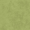 Maywood Studio Shadow Play Lime Green