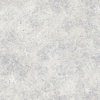 Windham Fabrics Noteworthy Splatter Fog