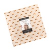 Pumpkin Spice Gatherings Layer Cake by Moda