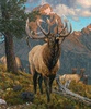 Riley Blake Designs Majestic in Nature Panel Grand Elk Panel