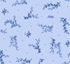 Maywood Studio Blue Belle Tossed Blue