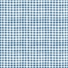 Riley Blake Designs Firework Fields Gingham Blue