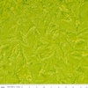 Riley Blake Designs Expressions Hand Dye Batik Kiwi