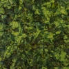 Riley Blake Designs Expression Batiks Elementals Color Play Mottled Spring Pear