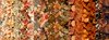 Reflections of Autumn Strip Roll by In The Beginning Fabrics