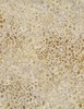 Wilmington Prints Cinnamon Twist Batiks Dotty Toss Tan
