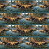 Northcott Naturescapes Autumn Woodland Border Stripe