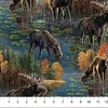 Northcott Autumn Woodland Naturescapes Scenic Blue Multi