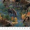 Northcott Autumn Woodland Naturescapes Scenic Blue Multi
