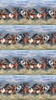 Northcott Wild and Free Border Stripe Blue/Multi
