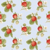 Henry Glass Strawberry Garden Tossed Strawberry Sprigs
