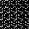 Benartex Delightful Daisies Flower Seeds Black