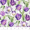 Northcott Tulip Garden Script Tulips White/Multi
