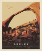 Riley Blake Designs National Parks Poster Panel Arches