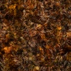 QT Fabrics Running with the Pack Foliage Blender Dark Brown