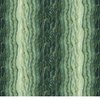 Northcott Stonehenge Gradations Ombre 108 Inch Wide Backing Fabric Pine Ridge