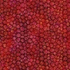 In The Beginning Fabrics Allure Lanterns Red