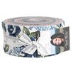 Sunnyside Jelly Roll by Moda