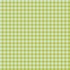 Riley Blake Designs Spring's in Town Plaid Green