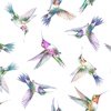 In The Beginning Fabrics Daydreams Hummingbirds Multi