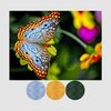 Color Inspiration Series: Aurifil Thread - PEACOCK BUTTERFLY