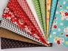Lori Holt Extra Wide Strip Pack - MAY 2024