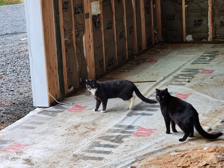 Bear Creek Quilting Company Studio