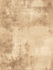 Wilmington Prints Essentials Dry Brush Fawn