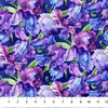 Northcott Infatuation Packed Iris Dark Purple/Multi