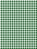 Wilmington Prints Classic Reflections Gingham White/Dark Green