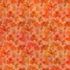 In The Beginning Fabrics Blooming Day and Night Poppies